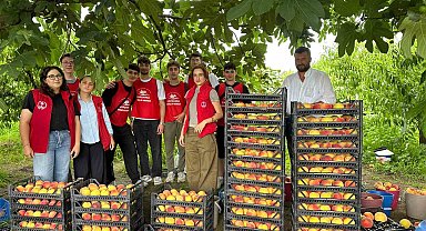 Çarşamba'da 'Gönüllü Hasat Etkinliği'