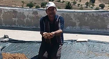 Çermik'te dutlar pazardaki yerini aldı