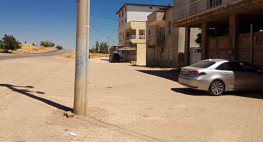 Çocuğu köpekten kurtaran mahalleli konuştu