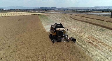 Çorum'da çiftçinin talebiyle planlı üretime alınan kanolada ilk hasat sevinci