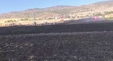 Diyarbakır'da 100 dönümlük alan alevlere teslim oldu