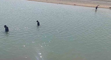 Diyarbakır'da kayıp şahsı arama çalışmaları üçüncü gününde