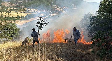 Domaniç'te tarlada başlayan ve ormanlık alana sıçrayan yangın söndürüldü