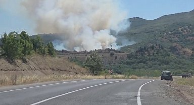 Domaniç'te tarlada başlayan yangın ormana sıçradı