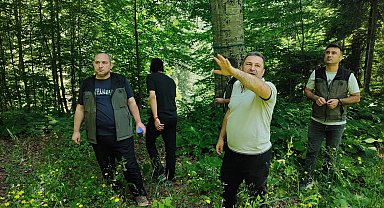 Düzce'de doğal gençleşme