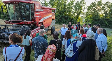 Düzce'de ilk kez yetişen siyez buğdayının hasadı yapıldı