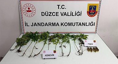 Düzce'de jandarmadan uyuşturucu operasyonu