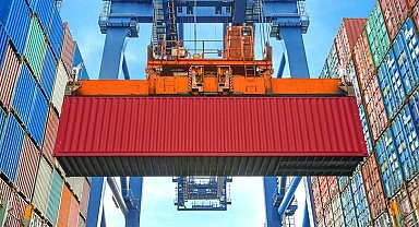 Düzce'den 4 bin 135 ton orman ürünü ihraç edildi