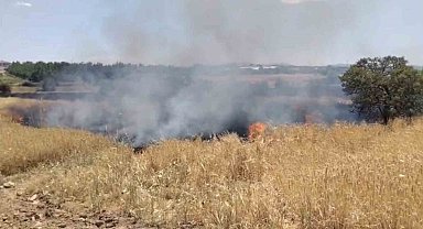 Elazığ'da arazi yangını ekiplerin müdahalesi sürüyor