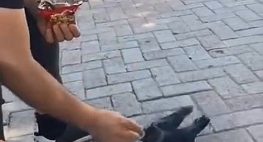 Elazığ'da bir vatandaş, kargayı elleriyle besledi