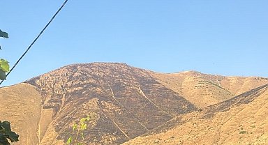 Elazığ'da dağlık alanda çıkan yangın söndürüldü