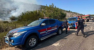 Elektrik direğinden çıkan kıvılcım orman yangınına sebep oldu