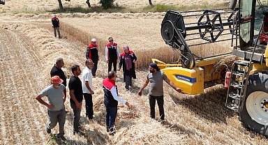 Erzincan'da buğday hasadı sürüyor, biçerdöverler denetlendi