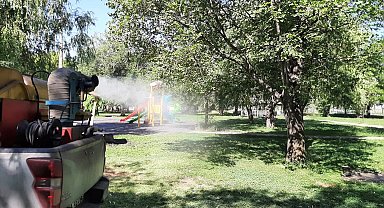 Erzincan'da sivrisinek ve karasineğe karşı ilaçlama sürüyor