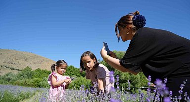 Erzincan'daki lavanta bahçesi ziyaretçilerin ilgi odağı oldu