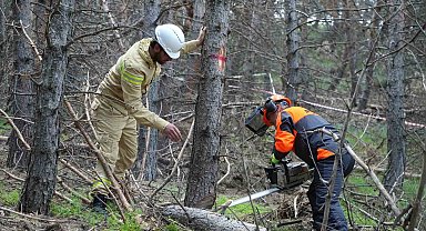 Erzurum'un akciğerlerine planlı dokunuş
