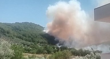 Fethiye'de orman yangını