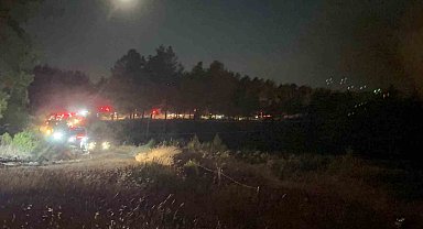 Fethiye'de Yeşilüzümlü Mahallesinde orman yangını başladı