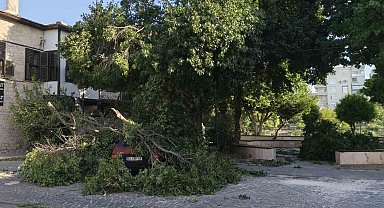 Fırtına ağaçları araçların üzerine devirdi, tekneyi kıyıya vurdu