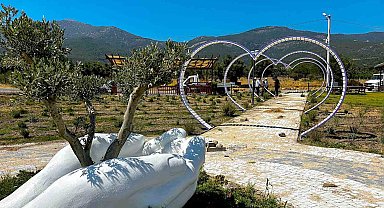 Fotoğraf tutkunları Söke'de lavanta bahçesine akın edecek