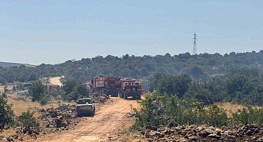 Gaziantep'te orman yangını: Ekiplerin müdahalesi sürüyor