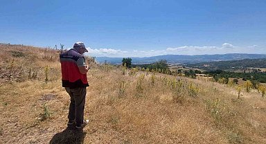 Gediz'de beyan doğruluğu kontrolleri sürüyor