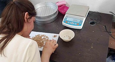 Geliboolu'da TMO alım noktalarında inceleme