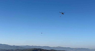 Gömeç, Ayvalık ve Bergama'da binlerce hektar ağacı kül eden yangın kontrol altına alındı