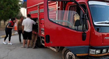 Kaçak hayvan sevkine 175 bin lira ceza