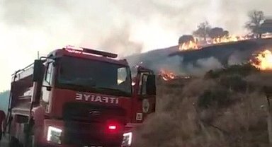 Kahta'da anız yangını köye kadar ulaştı