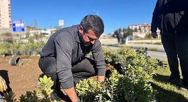 Karabük'te yeşil alanlar 18 binden fazla fidanla güçleniyor