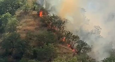 Kastamonu'da orman yangınında 40 dönümlük alan zarar gördü