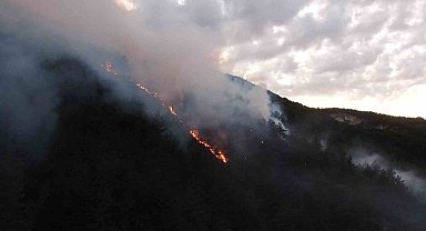 Kastamonu'daki orman yangınına müdahale sürüyor