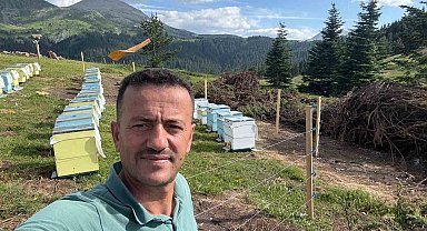 Koruma altındaki gelincik Ilgaz Dağı'nda görüntülendi