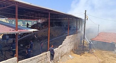 Kumlu'da samanlıkta çıkan yangında 3 buzağı telef oldu
