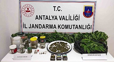 Manavgat'ta 2 kilo kubar esrar ve 130 kök kenevir ele geçirildi
