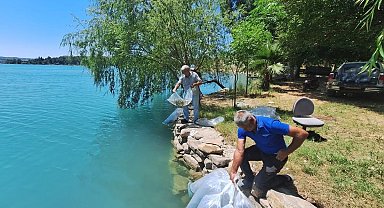 Manavgat'ta 400 bin balık yavrusu baraj gölünde bırakıldı