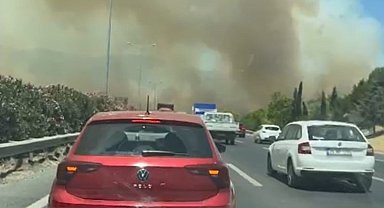 Manisa'da orman yangınında alevler İzmir-İstanbul Otoyolu'na ulaştı
