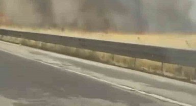 Mardin'de itfaiye aracının çarptığı itfaiye eri hayatını kaybetti
