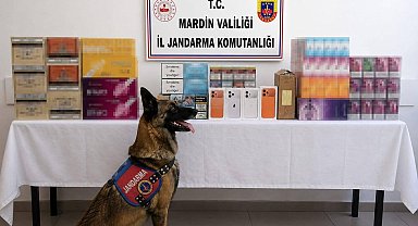 Mardin'de kaçak tütün operasyonunda 2 gözaltı