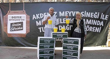 Mersin'de Akdeniz Meyve Sineğine karşı feromon tuzağı desteği
