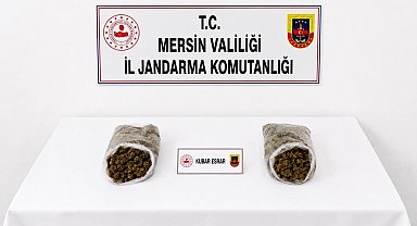 Mersin'de jandarmadan uyuşturucu operasyonu: 2 tutuklama