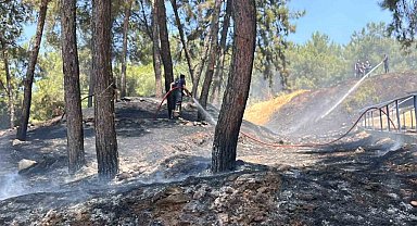 Mesire alanındaki yangın kısa sürede söndürüldü