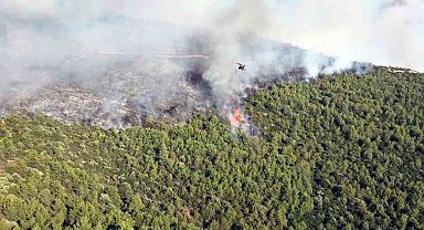 Milas yangınına havadan ve karadan müdahale sürüyor