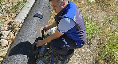 MUSKİ 6,5 ayda 7 milyon m3 su kaybını önledi