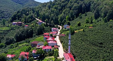 Ordu'nun kırsalında beton yol çalışmaları