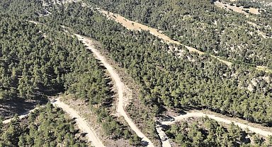 Orman köylülerine endüstriyel odundan 1 milyar TL'lik katkı