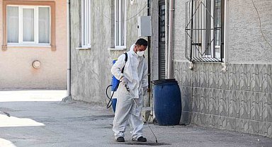 Osmangazi Belediyesi'nden haşereye karşı anında müdahale