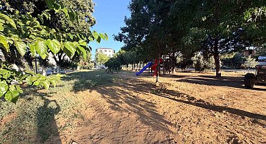 Sarıgöl'ün yeşil dönüşümü başladı