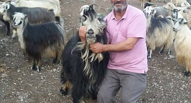 Şavşat Deresi'nde kaybolan babanın cansız bedenine ulaşıldı